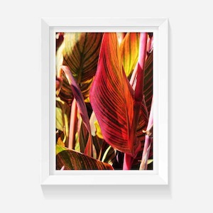 Products: Glorious Nature INDOOR WALL ART PRINT Wild on Walls