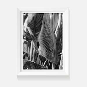 Products: Striking - Wild on Walls