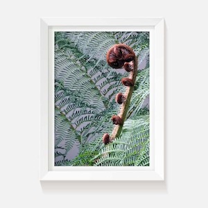 Products: Silver Fern - Wild on Walls