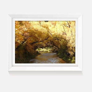 Products: Autumn Glow - Wild on Walls