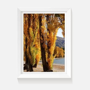 Products: Autumn Gold - Wild on Walls