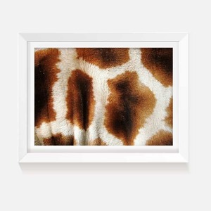 Products: Animal Print - Wild on Walls