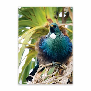 Metal Artwork For Outside Garden Art Wild On Walls