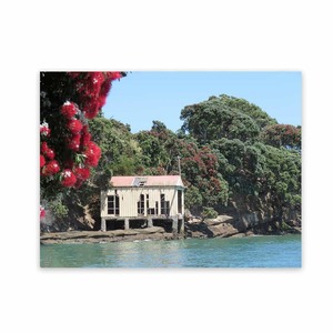 Products: Art For The Garden Beach Art Wild On Walls Now