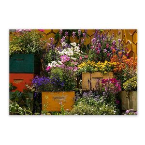Products: Outdoor Canvas Wall Art Wild On Walls Now