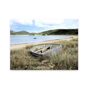 Products: Beach Themed Decor Matai Bay Garden Art Wild On Walls