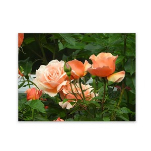 Products: Garden Art Work Waterproof Art Panels Wild On Walls