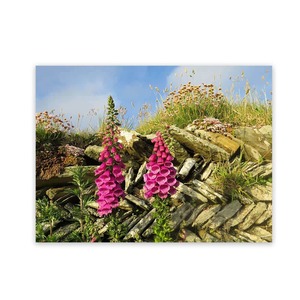 Products: Outside Wall Art Garden Art Panels Wild On Walls Nz