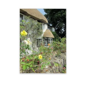 Products: Exterior Wall Decorations Garden Art Wild On Walls