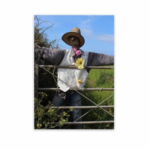 Products: Photographs For Outside Garden Art Wild On Walls