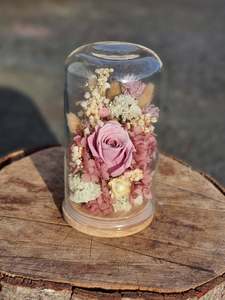 Dried Flower Domes: Large Pink + White Dome
