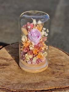 Dried Flower Domes: Large Pink + Apricot Dome