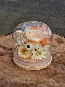 Dried Flower Domes: Medium Apricot Dome