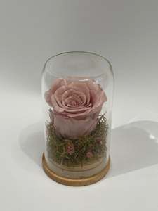 Dried Flower Domes: Preserved Rose in Glass Dome