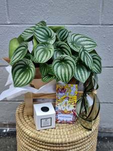 Gifts: 'Plant Lovers' Gift Crat