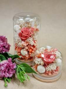 Coral + White Preserved Dome