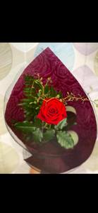 Products: Single wrap rose - Wildstem Florists