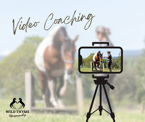 Products: Video Analysis – Feedback