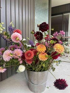 Products: Flower Buckets – DIY Wedding Flowers – Bulk Flowers Taupō - Wildwood Farm