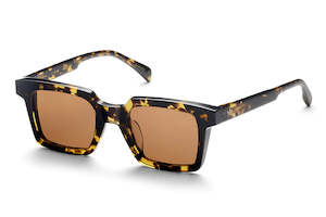 Am Eyewear: Tommy - Gents Tort