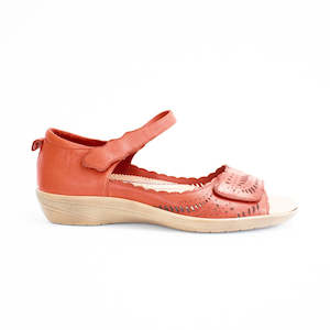 Pure Comfort: Art Coral