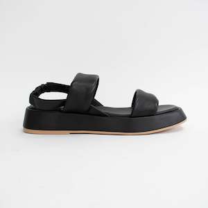 Fingal Black