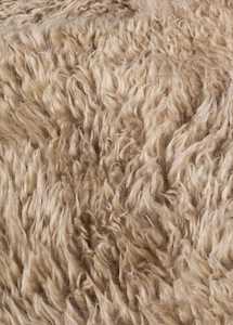 Shaggy Wool Mt Gold Sample
