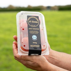 Products: Tomatoes (500gm Punnet) - Wilsons Vegetables