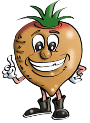 Products: Yams - Wilsons Vegetables