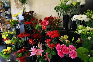 Products: Other Gift Ideas Windsor Florist