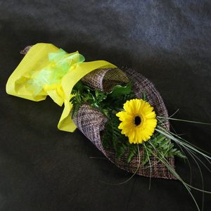 Products: Single Flower - Gift Wrapped Windsor Florist