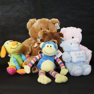 Products: Teddy Bears Windsor Florist