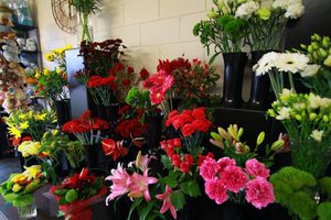 Products: Flowers Only - Simple Wrapping Windsor Florist