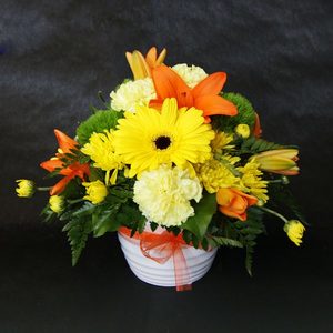 Products: Cheery Pot Windsor Florist
