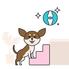 Pet-Med Joint Support Spray