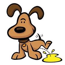 Naturopharm: Pet-Med Urinary Spray