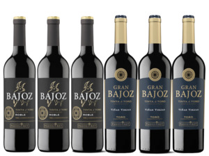 Mix Tempranillo: Bajoz Discovery 6-Pack