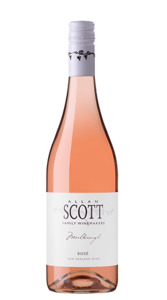 Allan Scott Marlbourgh Rose 2023