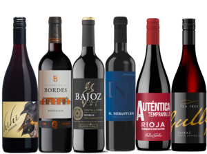 Mix Spain: Powerful Reds 6 Bottle Case