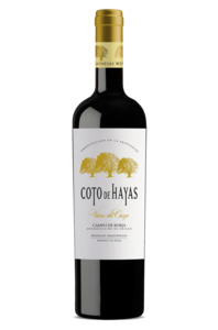 Coto de Hayas Vinas del Cierzo Reserva 2015