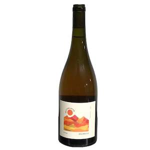 Natural Wine: Bryterlater Brambles Orange Pinot Gris 2023