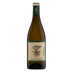Palomino: Bodegas Hidalgo La Gitana Las 30 del Cuadrado Cepas Viejos 2019