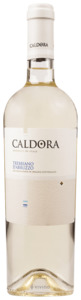 Wine By Style: Caldora Trebbiano d'Abruzzo 2024