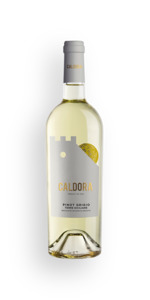 Wine By Style: Caldora Pinot Grigio D'Abruzzo 2024
