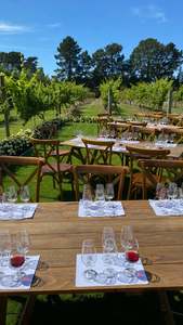 All Upcoming Events: Wine Tasting in the vines at Larcomb