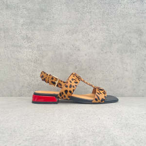 Bresley Santo Leo