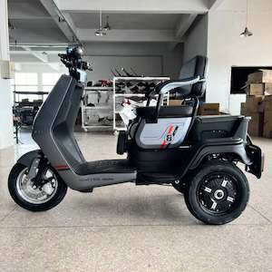 Electric Trike: E-Mobility Trike M-2 Silver Grey 3 year warranty