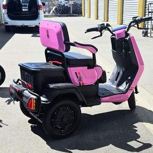 Electric Trike: E-Mobility  Trike M-2 Pink 3 year warranty
