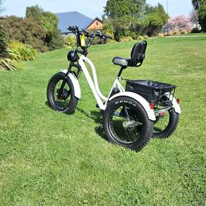 Electric Trike: E-Trike T1 - White STOCK DUE 7th MAY