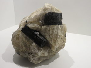 Black Tourmaline in Quartz Wisdom is Yours
